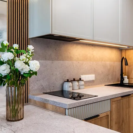 Podhalanska Polana By Concept Podhale Apartment Koscielisko